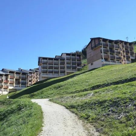 Asters - Chaleureux A 50 M Des Pistes Mae-4614 *