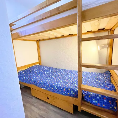 Asters - Chaleureux A 50 M Des Pistes Mae-4614