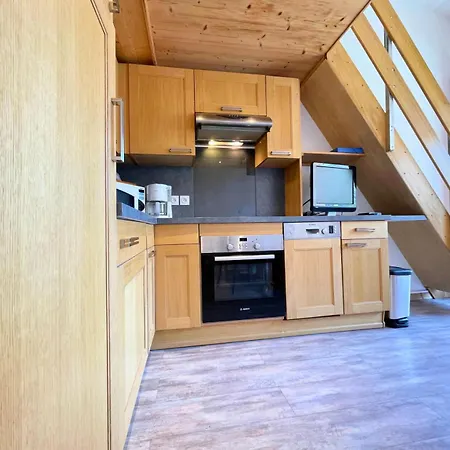 Asters - Chaleureux A 50 M Des Pistes Mae-4614 *